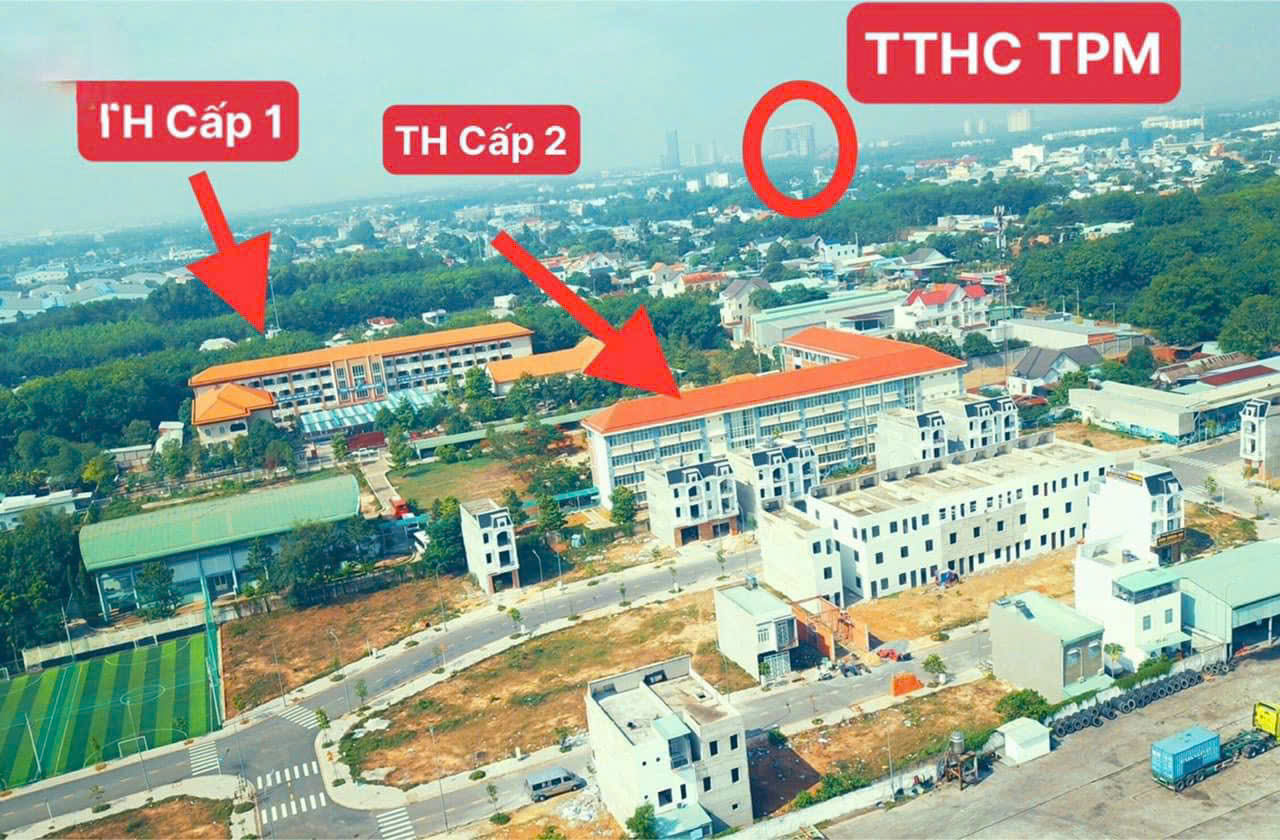 Bán đất thổ cư 117m2, Huỳnh Văn Lũy, Phú Chánh, Tân Uyên, Bình Dương - 25 tr/m2 - Ảnh 3